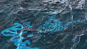 make realistic ocean logo reveal animation