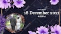 create wedding invitation videos