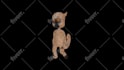 create low and high poly 3d models