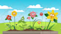 create stunning 2d explainer, whiteboard, animation video
