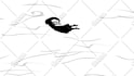 create 2d animation video for you