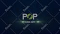 create electric logo animation for you