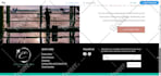 build squarespace website design and development