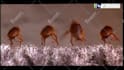 customize pest control video for your business