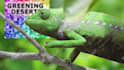 make funny chameleon logo reveal