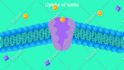 do animation in autodesk maya
