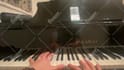 write or transcribe professional chords for your song