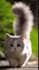 create monetizable funny animals videos, pets compilation within 24hr