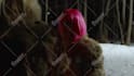 do cinematic vfx, rotoscopy, matchmove, composite and edit