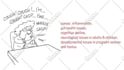 create a professional whiteboard animated explainer video