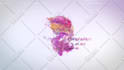 create colorful splash logo animation within 24 hours