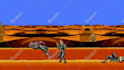 animate you in the super mario world