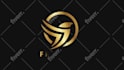 do the best custom logo animation for you