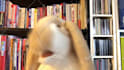 sing happy birthday with my rabbit puppet