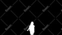 do vfx, rotoscope professionally, keying, tracking, vfx