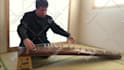 play the koto for your song