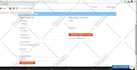 test your website or app and provide a detailed bug report