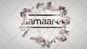 create logo intro  video from over 100 options in 4k