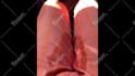 record a professional deep arabic male voice over