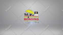 create 20 amazing animated logo intro video 24hrs