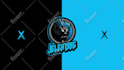make 2d or 3d or custom stringer transition