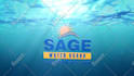 do water splash logo animation video intro