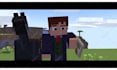 create a custom professional minecraft animation