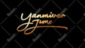 create a stunning signature logo animation