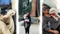 edit your travel and memories