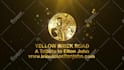 create luxury golden and silver intro logo animation