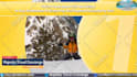 do travel agency, travel agent and travel planer  promo video
