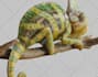 3d model your pet for 3d print