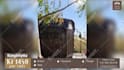 create modern real estate listing video