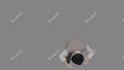 animate 3d characters in blender