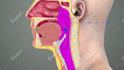 do 3d medical product and device animation