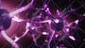 create stunning 3d motion graphic animations