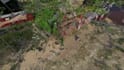 design your garden and landscape