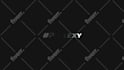 create a custom logo animation and professional reveal