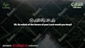 create holy quran or islamic videos with subtitles
