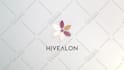 create glorious custom logo animation within 24 hour 3d 2d