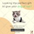 be your social media marketing manager digital marketing manager content creator