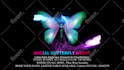 create custom butterfly animations tailored for your brand