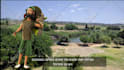 custom 3d animated explainer or sales 4k video with voiceover