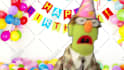 have harold the puppet make a custom birthday video