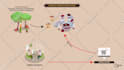 create an engaging 2d animated explainer video
