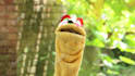 make a puppet video for you
