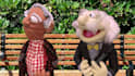 record a doctor or professor puppet video about anything