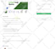 audit the SEO on your website