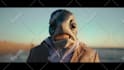 be your vfx artist and video editor