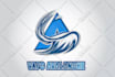 create luxurious logo animation reveal for brands